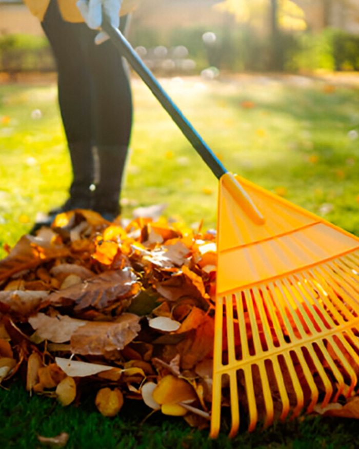 Backyard Cleaning Gold Coast