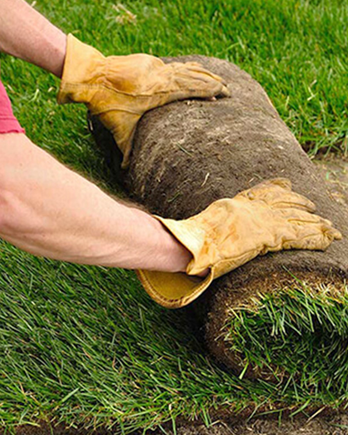 Turf Installation Gold Coast